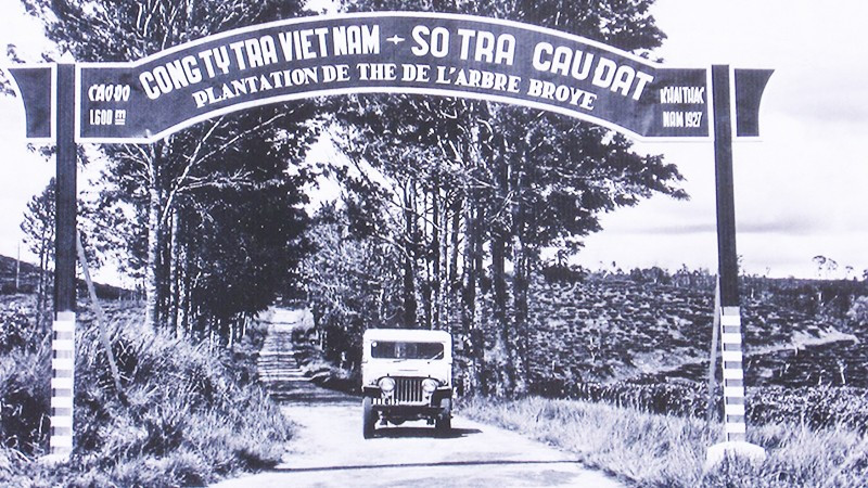 nông trường quốc doanh