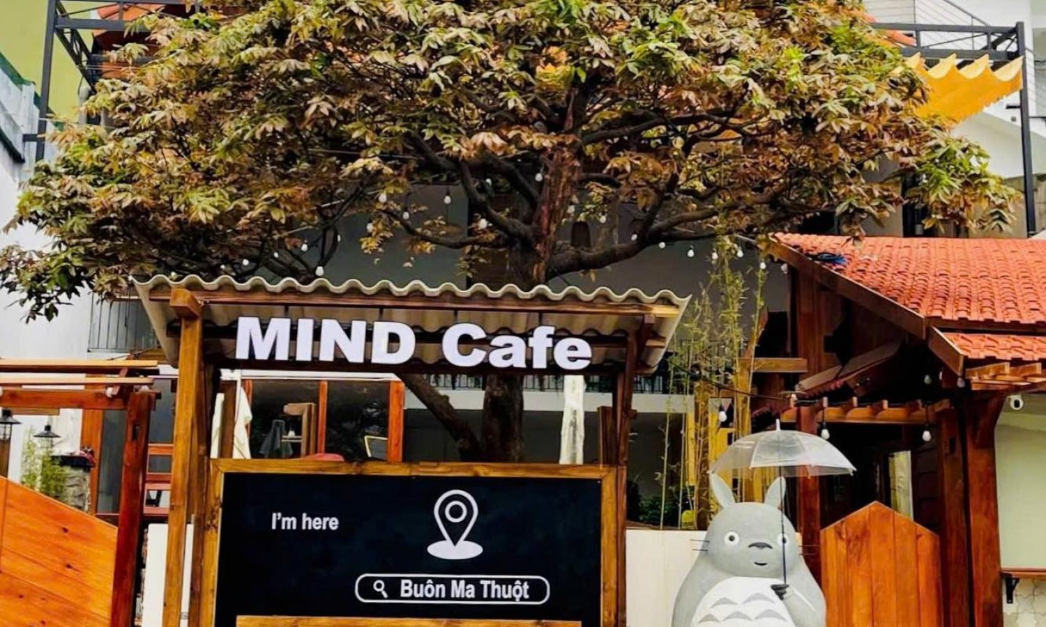 mind cafe