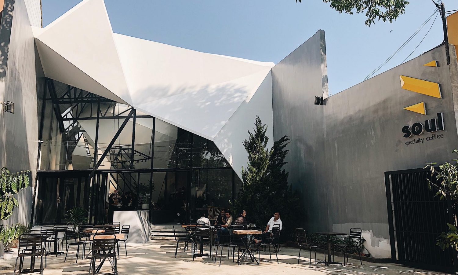 soul fine robusta bmt