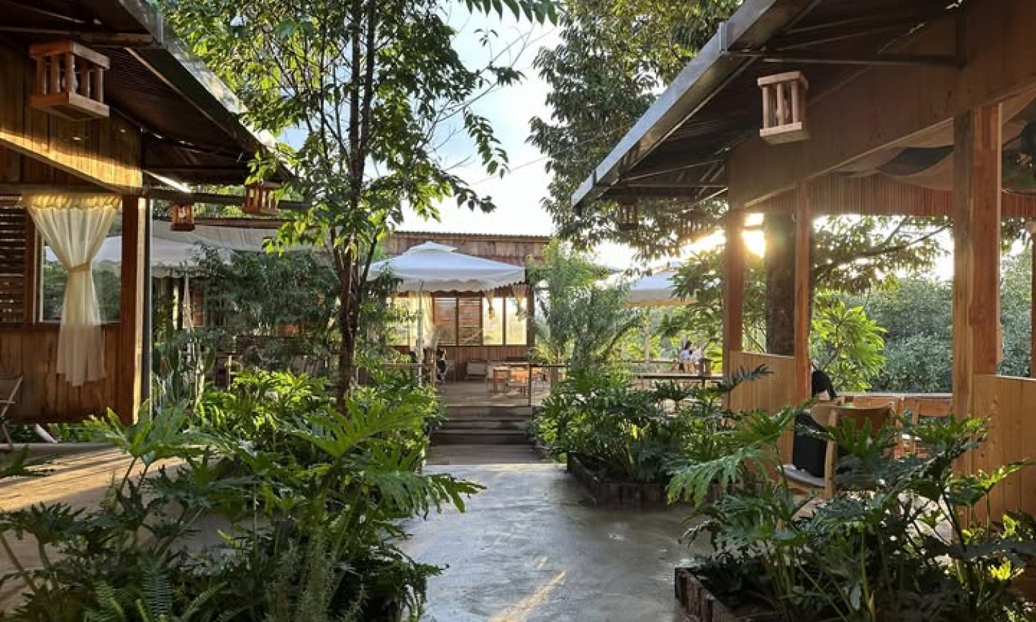 tiem ca phe hoang hon nang